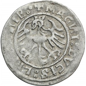Sigismund I. der Alte, Vilniuser Halbpfennig 1520 - SIGISMVANDI-Fehler