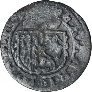 Zikmund III Vasa, Ternar Łobżenica 1626 - RARE