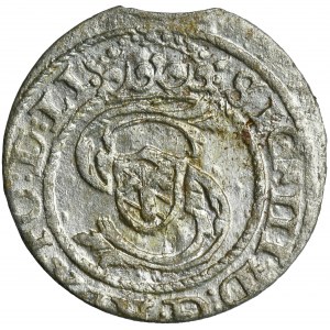Žigmund III Vasa, Riga 159?