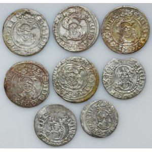 Set, Sigismund III Vasa, Schilling Riga (8 pcs.)