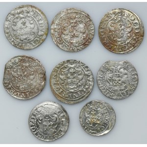 Set, Sigismund III Vasa, Schilling Riga (8 pcs.)