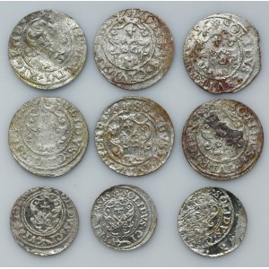 Set, Sigismund III Vasa, Schilling Riga (9 pcs.)