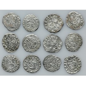 Set, Hungary, Mathias, Ferdinand II, Ferdinand III, Denarius Kremnic (12 pcs.)