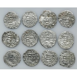 Set, Hungary, Mathias, Ferdinand II, Ferdinand III, Denarius Kremnic (12 pcs.)