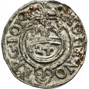 Zikmund III Vasa, polopostava Bydhošť 1619 - PÁD Z DĚJIN
