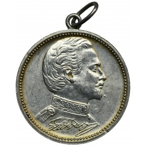 Německo, Bavorsko, Ludvík II. bavorský, medaile u příležitosti úmrtí krále