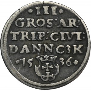 Zikmund I. Starý, Trojak Gdaňsk 1536