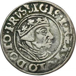 Sigismund I the Old, Groschen Danzig 1538 - PRVS