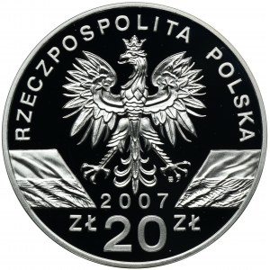 20 złotych 2007 Foka Szara