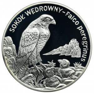 20 złotych 2008 Sokół