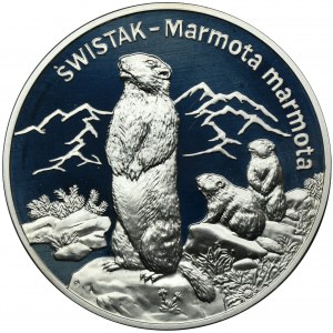 20 złotych 2006 Świstak