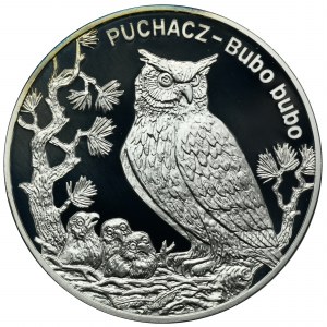 20 złotych 2005 Puchacz