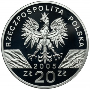 20 złotych 2005 Puchacz