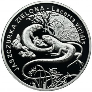 20 złotych 2009 Jaszczurka Zielona