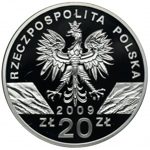 20 złotych 2009 Jaszczurka Zielona