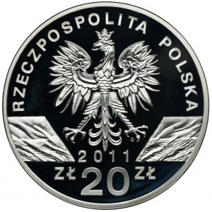 20 złotych 2011 Borsuk