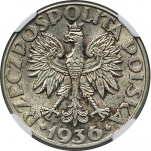 Żaglowiec, 2 złote 1936 - NGC AU58