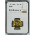 5 gold 1981 - NGC MS66