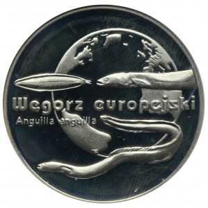 20 złotych 2003 Węgorz europejski