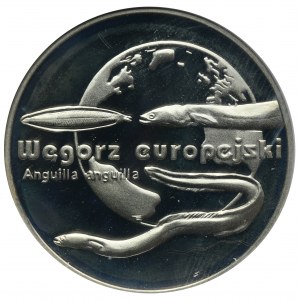 20 gold 2003 European eel