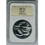 20 złotych 2003 Węgorz europejski