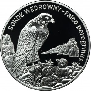 20 złotych 2008 Sokół