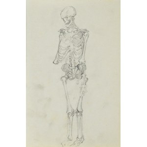 Józef PIENIĄŻEK (1888-1953), Szkic układu kostnego człowieka