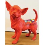 Hannes d'Haese, Chihuahua