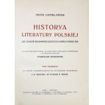 Historya literatury polskiej od czasów najdawniejszych do końca wieku XIX. [1915]