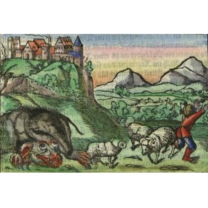 KRAKÓW. Pierwsze graficzne przedstawienie legendy o smoku wawelskim, pochodzi z Kosmografii… Sebastiana Münstera, Kolonia 1575