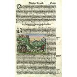 KRAKÓW. Pierwsze graficzne przedstawienie legendy o smoku wawelskim, pochodzi z Kosmografii… Sebastiana Münstera, Kolonia 1575