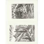 TATRAS. 9 Linolschnitte aus einer Serie von 18 verschiedenen Ansichten des Tatragebirges, mit Bleistift signiert, Format 145x105 mm; blindw.