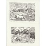 TATRY. 9 linorytów z serii 18, każdy inny, przedstawiające różne widoki z Tatr, sygn. ołówkiem, wym. 145x105 mm; st. bdb