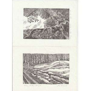 TATRA. 9 linocuts from a series of 18, each different, depicting various views of the Tatra Mountains, signed in pencil, dimensions 145x105 mm; st. bdb