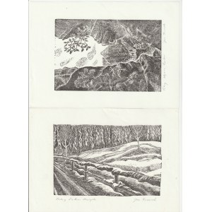 TATRAS. 9 Linolschnitte aus einer Serie von 18 verschiedenen Ansichten des Tatragebirges, mit Bleistift signiert, Format 145x105 mm; blindw.