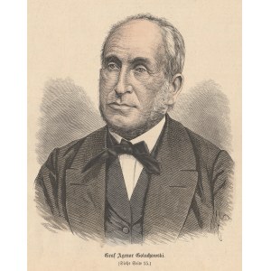 [GALICJA] - GOŁUCHOWSKI Agenor Romuald (1812-1875), popiersie, 1875; drzew. szt. kolor.