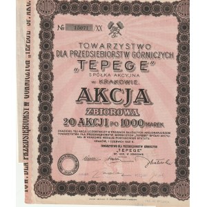 KRAKOW. Collective action 20 shares of 1000 marks each Towarzystwo dla Przedsiębiorstw Górniczych TEPEGE spółka akcyjna Krakow.