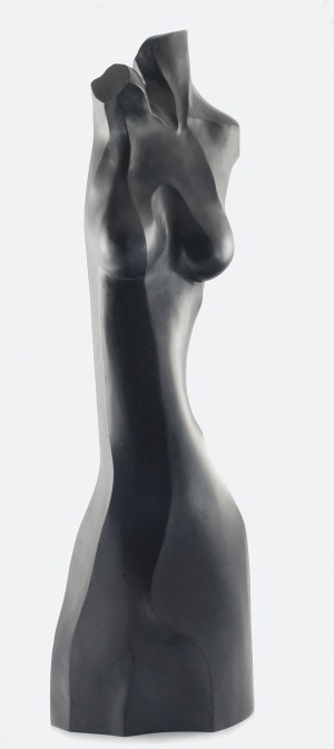 Wojciech JAROCKI (ur. 1954), Kobieta, 2010