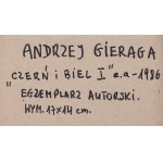 Andrzej Gieraga (ur. 1934, Śliwniki), Czerń i biel I, 1986