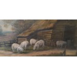 Pavel Schaik, Scena z owcami