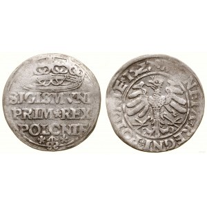 Polska, grosz, 1527, Kraków