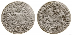 Polska, półgrosz, 1548, Wilno