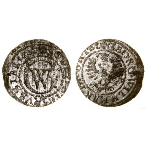 Prusy Książęce (1525-1657), szeląg, 1629, Królewiec