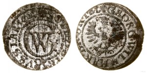 Prusy Książęce (1525-1657), szeląg, 1629, Królewiec