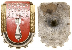 Polska, Wzorowy Moździerzysta wz. 1953