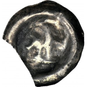 RR-, Sambor II 1217-1278, przed 1277, pomorze gańskie, Gryf w lewo, R6