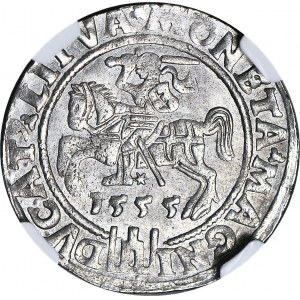 R-, Zygmunt II August, Grosz 1555, Wilno, T.12, R5, wyśmienity