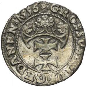 RR-, Zygmunt II August, Grosz 1556, Gdańsk, R4