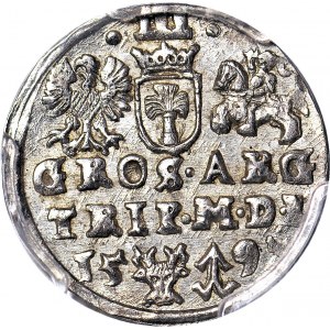 Zygmunt III Waza, Trojak 1597, Wilno, głowa Wołu, wyśmienity