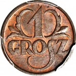 1 grosz 1925, menniczy, kolor BN